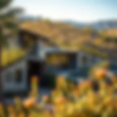 Magnificent Eden in the Valley: Comprehensive Master Plan Analysis Magnificent Eden in the Valley: Comprehensive Master Plan Analysis