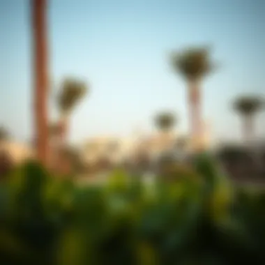 Lush landscaped surroundings in Abu Wadih Jumeirah