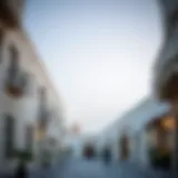 Diera Dubai: A Comprehensive Overview of a Historic District Introduction