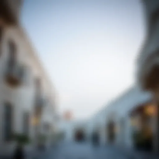 Diera Dubai: A Comprehensive Overview of a Historic District Introduction