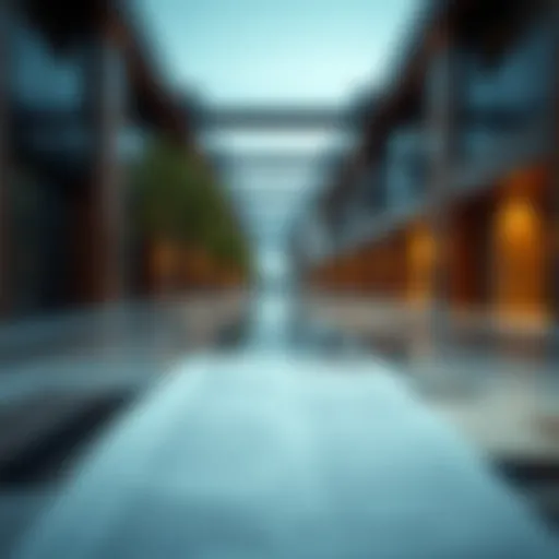 Ejari registration document overview