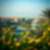 A picturesque view of Al Khawaneej showcasing its lush greenery and spacious parks