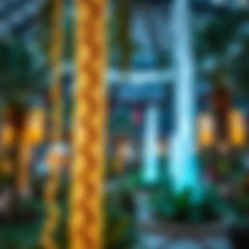 Exploring Dubai Garden Centre: A Visual Journey Introduction