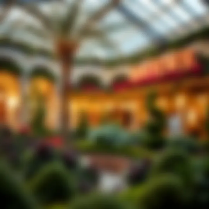 Notable Exploring Dubai Garden Centre: A Visual Journey