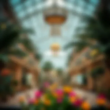 Exploring Dubai Garden Centre: A Visual Journey Summary