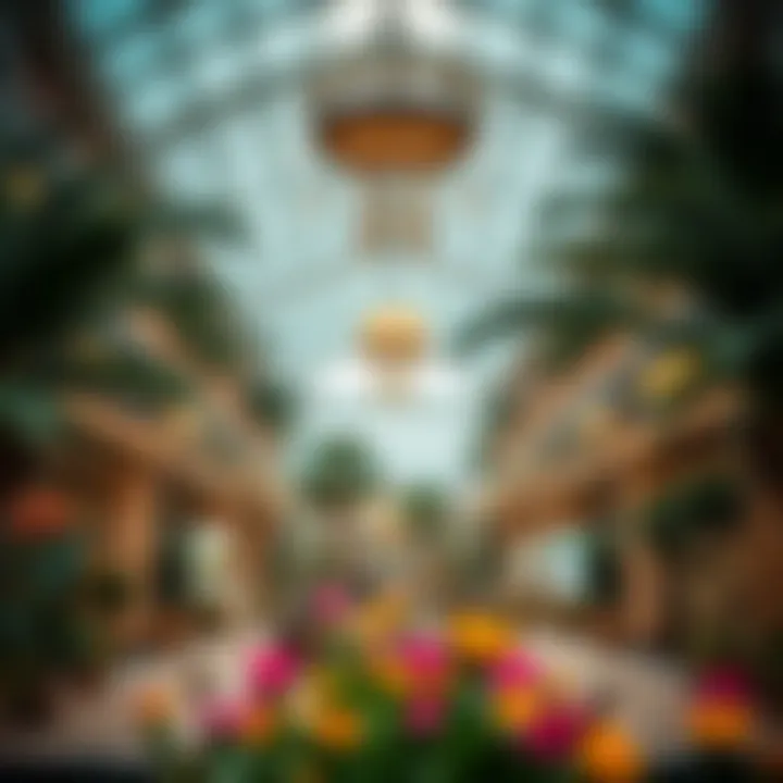 Exploring Dubai Garden Centre: A Visual Journey Summary
