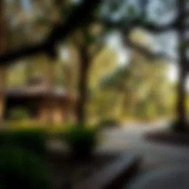 Notable Exploring Ghaf Woods: A Unique Natural Gem in Dubai