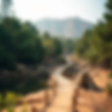 Exploring Ghaf Woods: A Unique Natural Gem in Dubai Summary