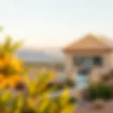 Natural Beauty of Hatta Dubai A serene landscape view of Hatta Dubai showcasing its natural beauty