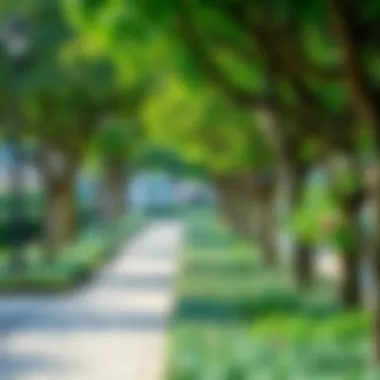 Green Spaces in Karama: A Breath of Fresh Air A picturesque park in Karama, highlighting the outdoor spaces available to residents.