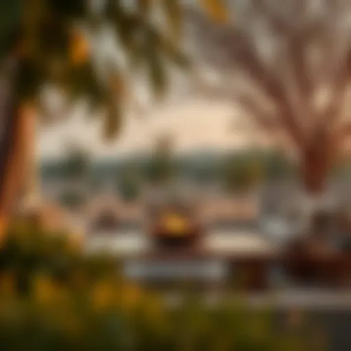 Exploring Kathura Reserve: A Fundamental Element of Dubai's Real Estate Landscape Introduction