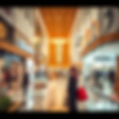 Retail spaces inside مكاني مول الشامخه filled with diverse offerings