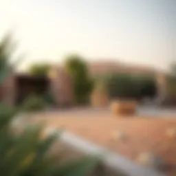 Exploring Ras Al Khor Wildlife Sanctuary Through the Lens: A Visual Study Introduction