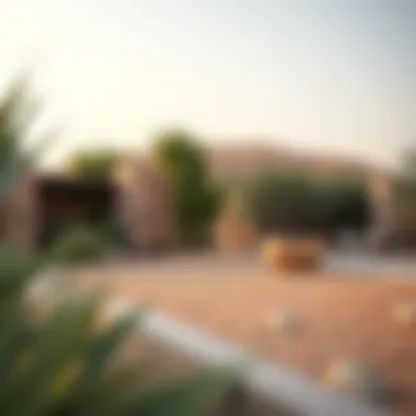 Exploring Ras Al Khor Wildlife Sanctuary Through the Lens: A Visual Study Introduction