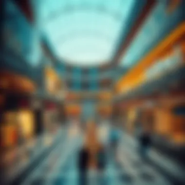 Exploring the Capital Mall in Musaffah: A Modern Hub of Commerce and Community Summary Exploring the Capital Mall in Musaffah: A Modern Hub of Commerce and Community Summary