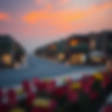 Vibrant neighborhood in Dubai with luxury homes and amenities