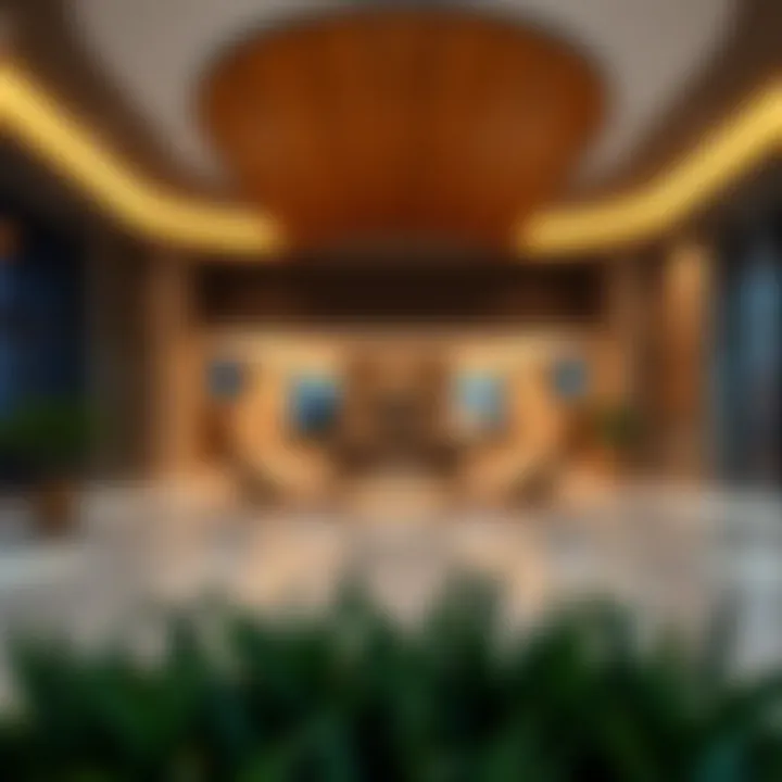 Visual representation of Meraas developments highlighting unique features