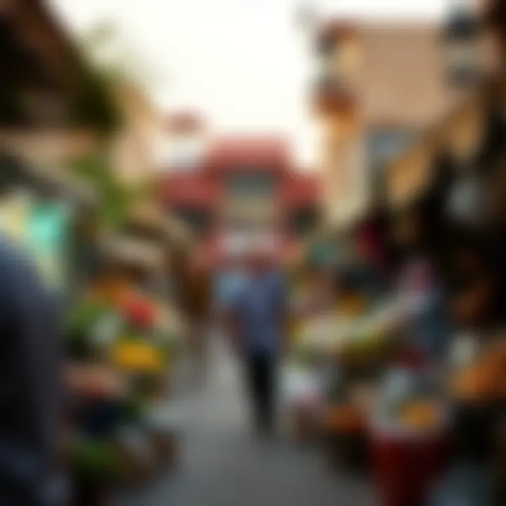 Community Lifestyle at a Local Market in Dubai's Outskirts Lively local market in the outskirts of Dubai, illustrating community lifestyle