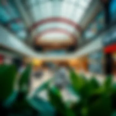 Exploring the Retail Landscape: Shops in Festival City Mall Summary