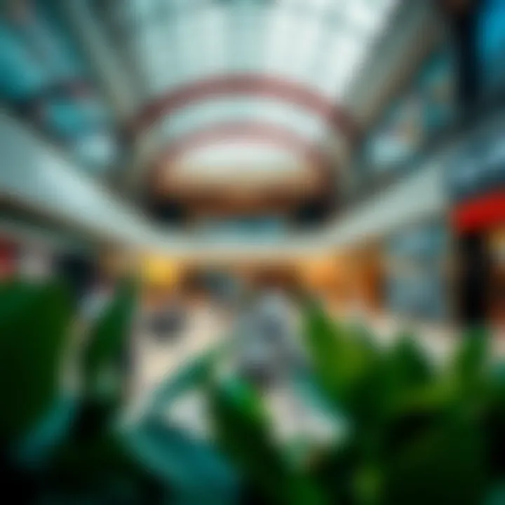 Exploring the Retail Landscape: Shops in Festival City Mall Summary