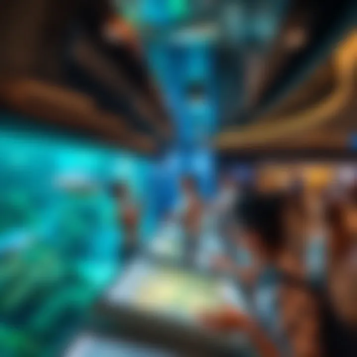 Visitors engaging with interactive displays in the Underwater Zoo