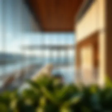 Exploring Viewz by Danube: A Comprehensive Analysis Summary