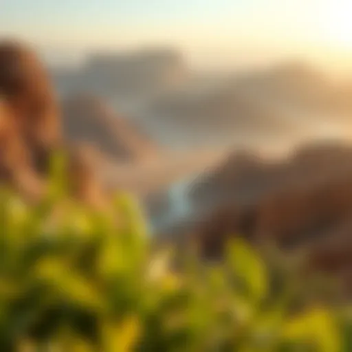 Natural Wonders of Oman Stunning landscape of Oman showcasing its natural beauty