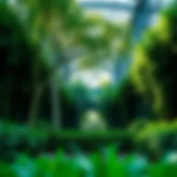 Lush greenery of Faya Bloom Gardens showcasing nature's integration with architecture