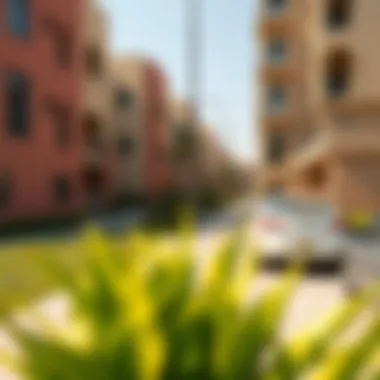 Tips for affordable family housing