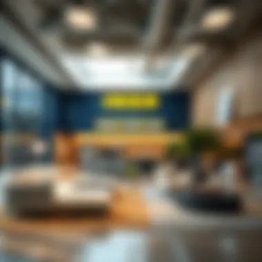Navigating the Online Experience of IKEA Dubai Summary