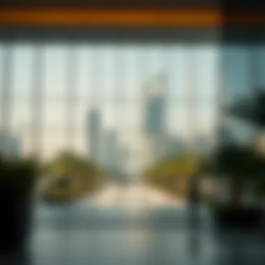 Overview of UAE residence visa types