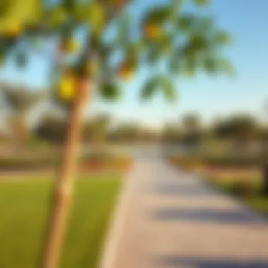 Recreational Spaces: Embracing Nature in Ras Al Khor Lush green parks and recreational areas in Ras Al Khor for leisure activities