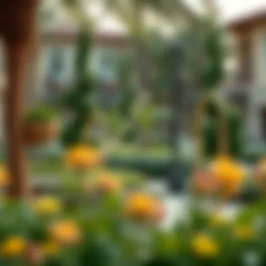 Local amenities highlighting lifestyle in Royal Park JVC