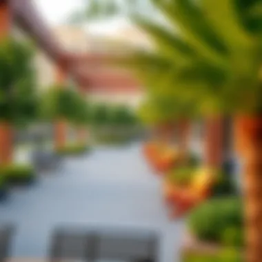 Vibrant community spaces in Sedar with green areas and recreational facilities