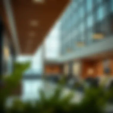 Legal ramifications of termination during probation period