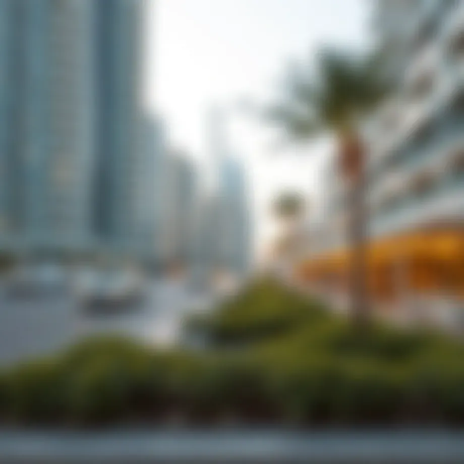 Visual Narratives of JBR Beach: An Exploration through Photographic Lenses Introduction