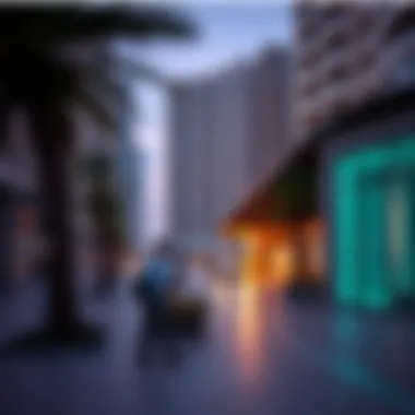 Notable Visual Narratives of JBR Beach: An Exploration through Photographic Lenses Notable Visual Narratives of JBR Beach: An Exploration through Photographic Lenses